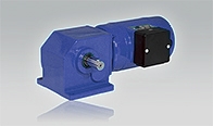 DC Shunt-Wound Geared Motor KGIG 623 with Worm-Spur Gear Unit Z 45